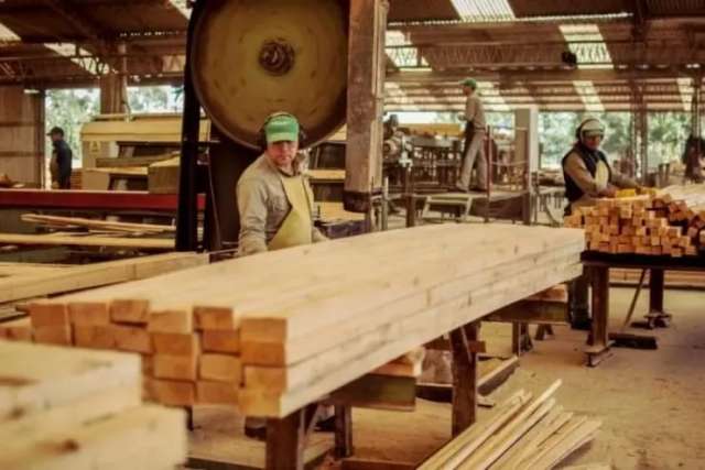 Incertidumbre en Tapebicuá: trabajadores no fueron informados sobre la venta de la empresa