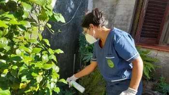 El Ministerio de Salud Pública de Corrientes lanzará un nuevo plan para prevenir el dengue,