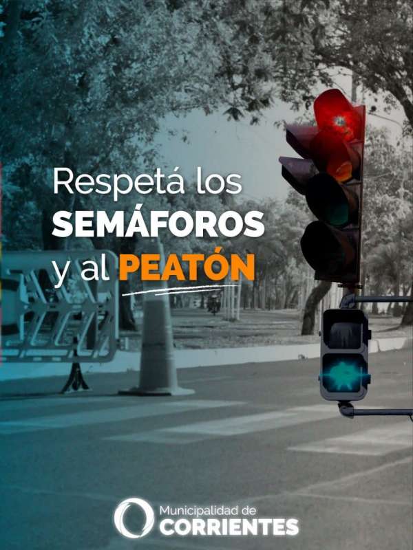 Reglas de conducir