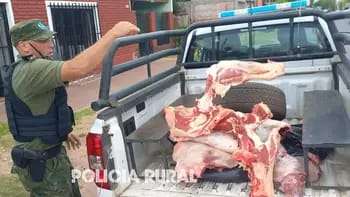 Corrientes: incautaron 256 kilos de carne en mal estado en carnicerías