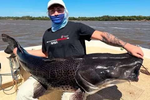 Capturaron un surubí negro de 45 kilos en el río Uruguay