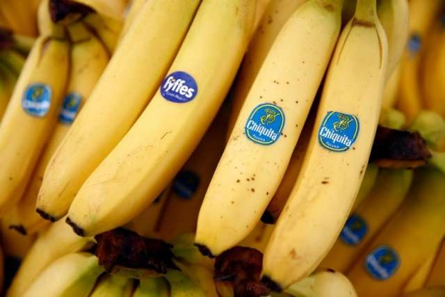 La incertidumbre cambiaria frena la importación de bananas a Corrientes