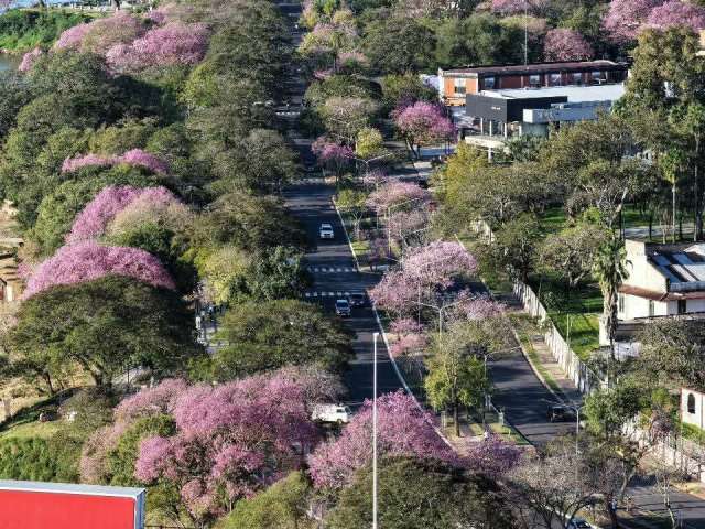 Costanera Ctes