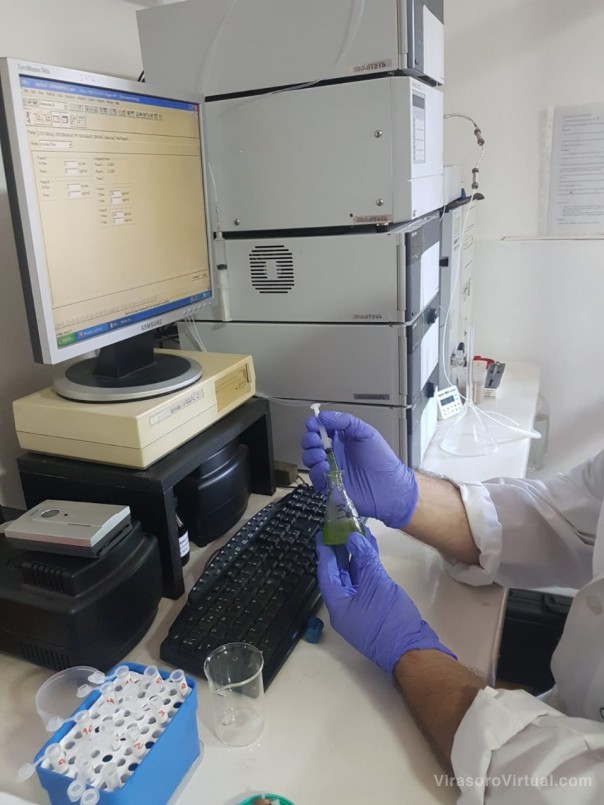 Cannabis Medicinal: buscan método para dosificar los principales componentes activos de los preparados