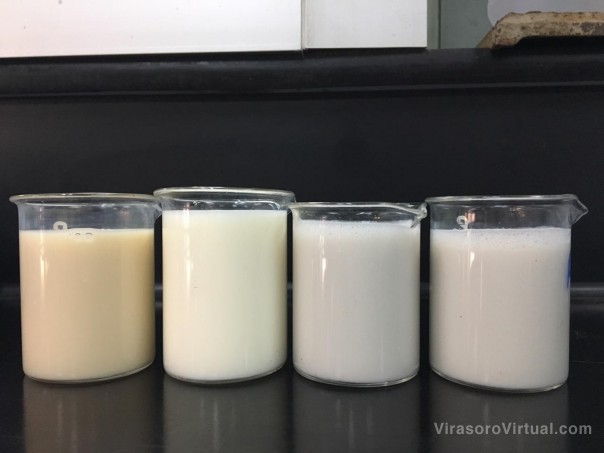 Trabajan en la elaboración de una bebida en base a “caupí-arroz” con aporte proteico similar a la leche