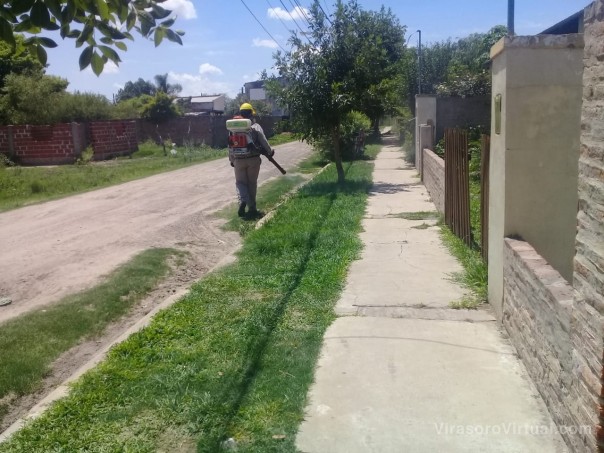 Salud Pública refuerza acciones e insiste en los cuidados para prevenir estas enfermedades