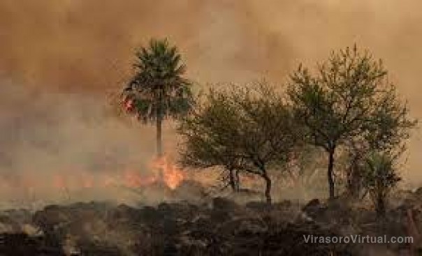 Alerta por peligro de incendios en Corrientes debido a las altas temperaturas