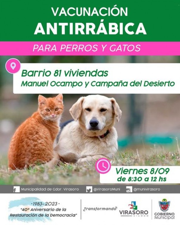 Vacunación #antirrábica