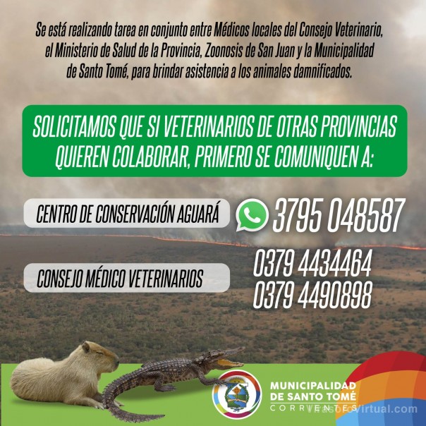 Si veterinarios de otras provincias quieren colaborar