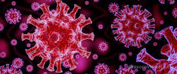 Corrientes registra 2.647 casos nuevos de Coronavirus, 1.464 en Capital y 1.183 en el interior