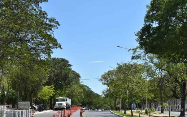 Avanza importante plan de arborización en la costanera correntina
