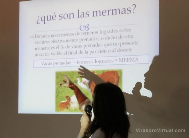 En el Centro Cultural realizaron una charla sobre merma ganadera en Corrientes
