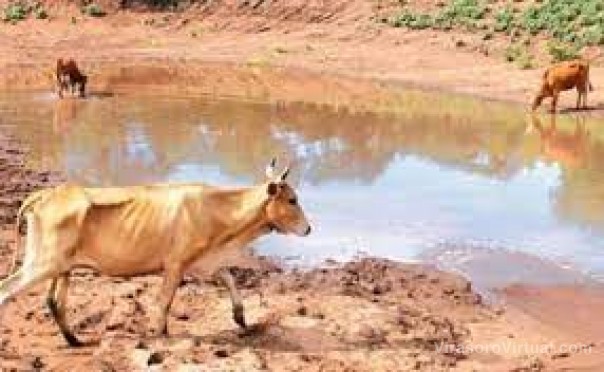 Emergencia Agropecuaria en Corrientes: se homologó la prórroga del decreto provincial