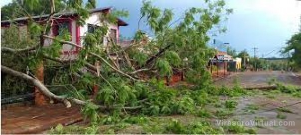 Una fuerte tormenta tiró árboles y dejó viviendas dañadas en Colonia Liebig