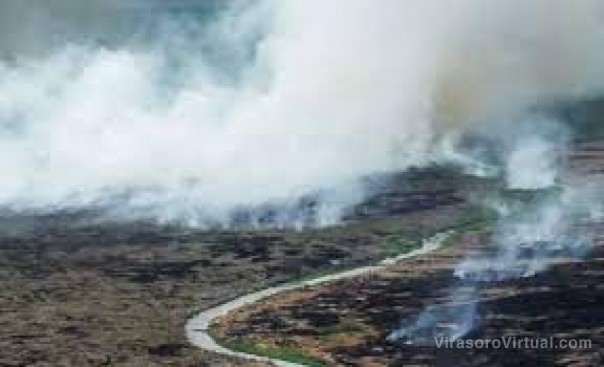 Situación crítica en Corrientes: 31.000 hectáreas afectadas y el Iberá arde hace 50 días