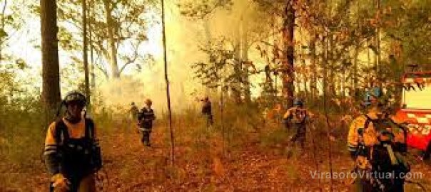 Quemó basura en su casa y causó una catástrofe ambiental: lo condenaron a prisión