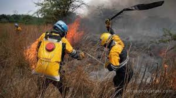 El fuego arrasó con 100.566 hectáreas en lo que va del año