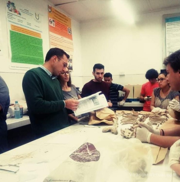 Exitoso cierre del primer posgrado de formación profesional en Antropología Forense dictado en la UNNE