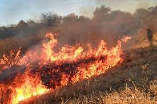 Alerta en Corrientes: se registraron 66 incendios de pastizales en lo que va de septiembre