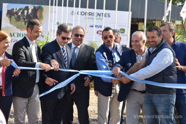 Corrientes se consolida en la genética de sus razas Braford, Brahman y Dorper