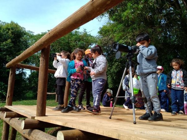 Suman valores aprendiendo en la naturaleza