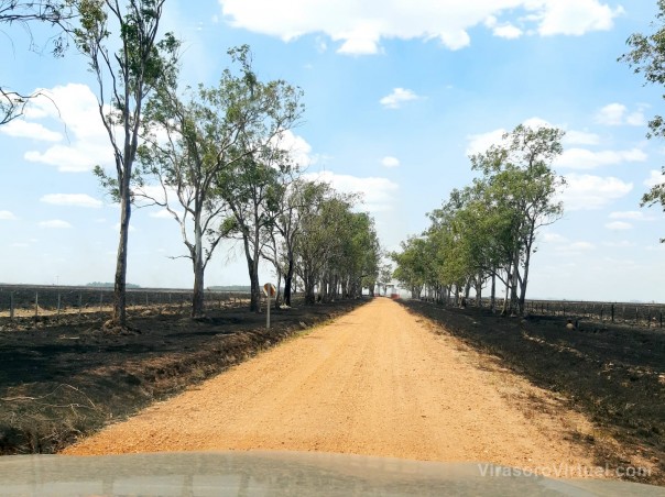 Grave situación en los lugares afectados por el fuego