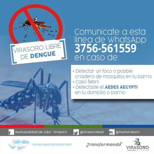 Lucha contra el dengue