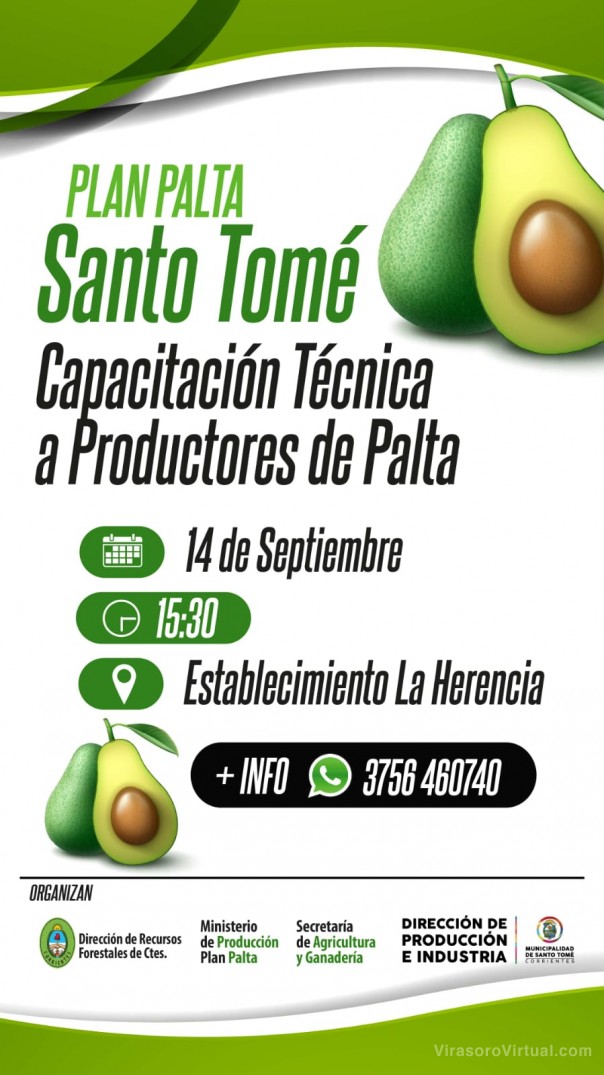 Plan Palta