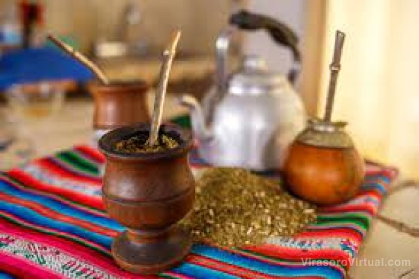 Comenzaron los experimentos para probar que la yerba mate sirve contra el sobrepeso