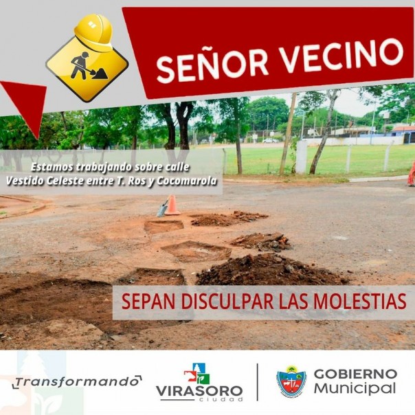 Bacheo