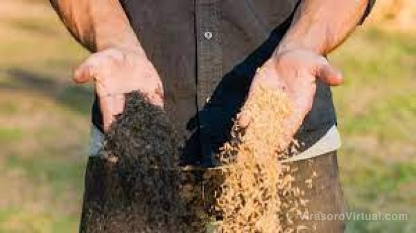 Correntino creó carbón con cáscara de arroz e instalará una planta en la provincia