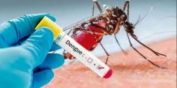 Alerta dengue: siguen en alza los casos y llaman a eliminar los criaderos
