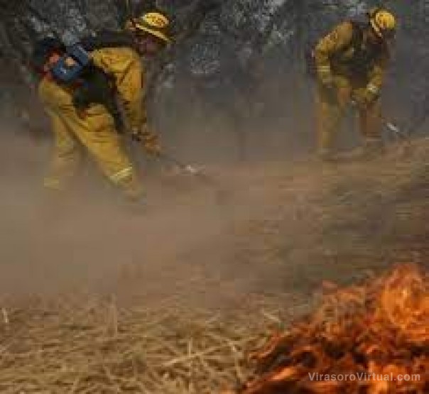 Hay alerta amarilla por posibles incendios: la situación se agravará el fin de semana