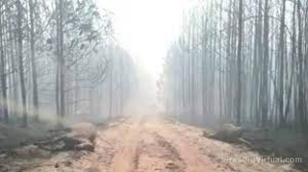 La lluvia sofocó todos los focos ígneos y esperan el fin de los puntos calientes