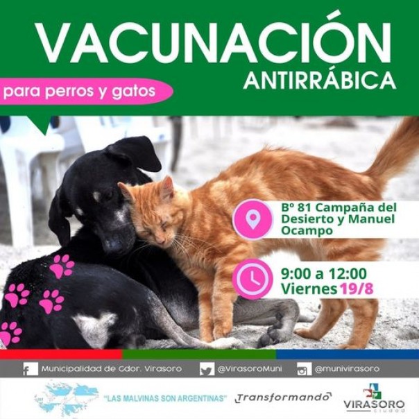 Vacunación antirrábica