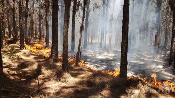 El gobernador Valdés declaró la Emergencia Ígnea en todo el territorio provincial