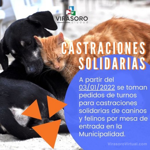 La Dirección de Bromatología continua con  las castraciones solidarias.