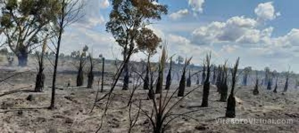 Controlaron tres incendios y los Bomberos Voluntarios piden respeto por su trabajo