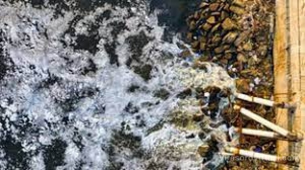 Bioenergía: plantearon en Corrientes el uso de nutrientes de las aguas servidas