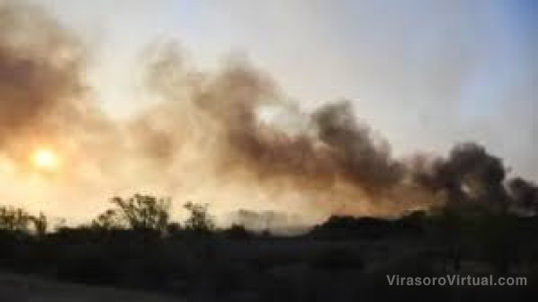 Registran un incendio forestal activo en Corrientes