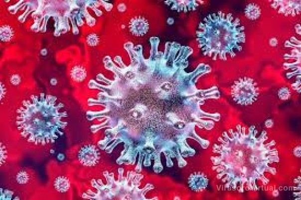 Corrientes registra 494 casos nuevos de Coronavirus: 211 en Capital y 283 en el Interior