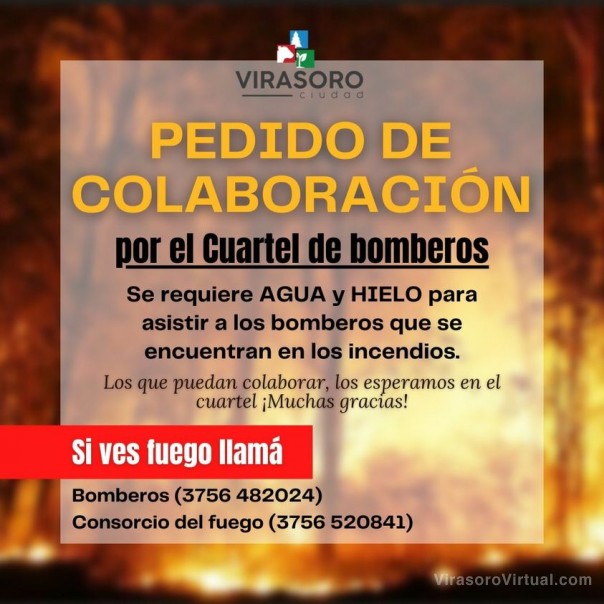 Solidaridad