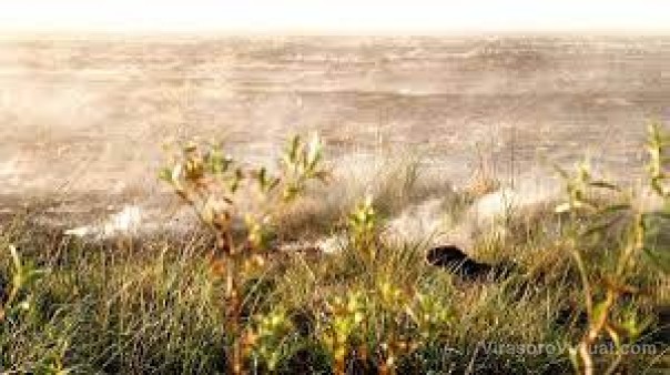 Se reactivaron pequeños incendios, pero los brigadistas lograron controlarlos