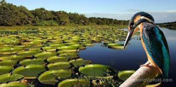 El Cielo del Iberá será certificado como uno de los mejores del mundo para el turismo astronómico