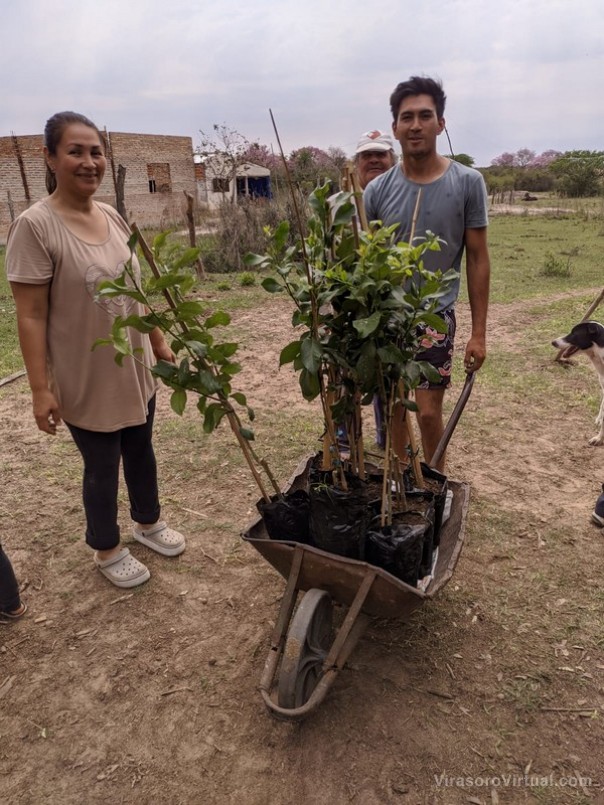 Plan Limón: continúa la distribución de plantas para esta nueva etapa en primavera