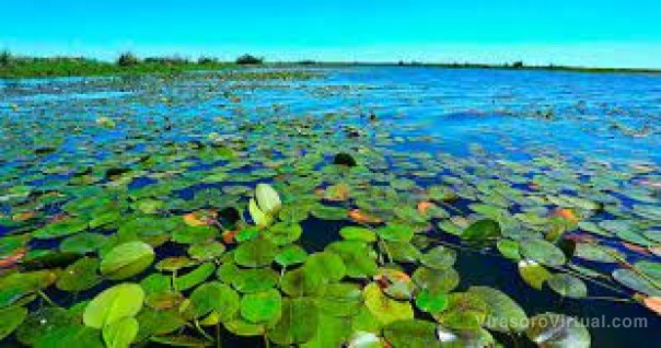 El Iberá es el parque más visitado del país, con 60.000 turistas solo este año