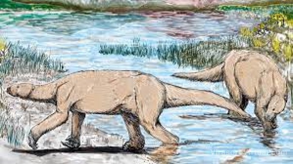 Científicos de la Unne identificaron los fósiles de un perezoso acuático