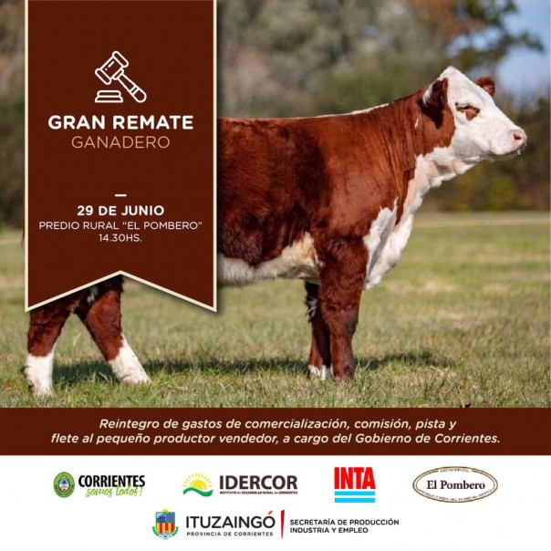 Gran remate Ganadero