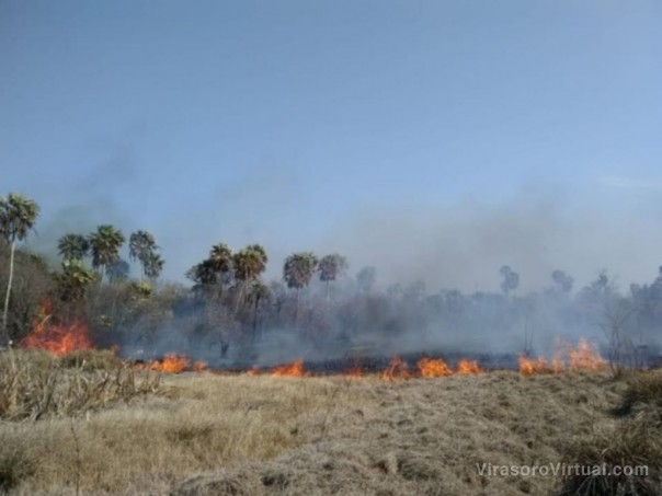 La UNNE subsidiará 16 proyectos que estudiarán impactos de la sequía e incendios en Corrientes