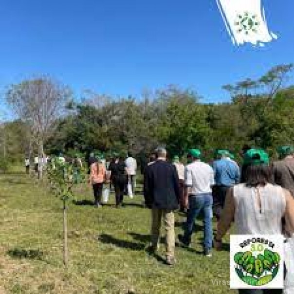 Lanzaron Reforesta 3.0: un programa para adoptar árboles a través de tokens
